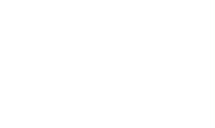 Skyworks Consulting